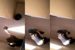 20150521102916517003i