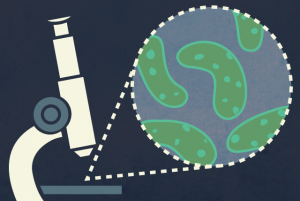 destaque_bacteria_multi-resistente_Agencia_Brasilia