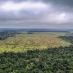 Ambientalistas e governo se unem para impedir derrubada de vetos ao licenciamento