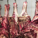 Brasil assumirá em 2025 a liderança mundial na produção de carne bovina